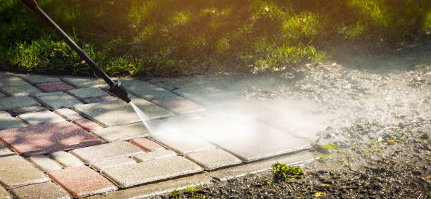 Best Roof Cleaning and Mildew Removal in Whitesboro, NJ